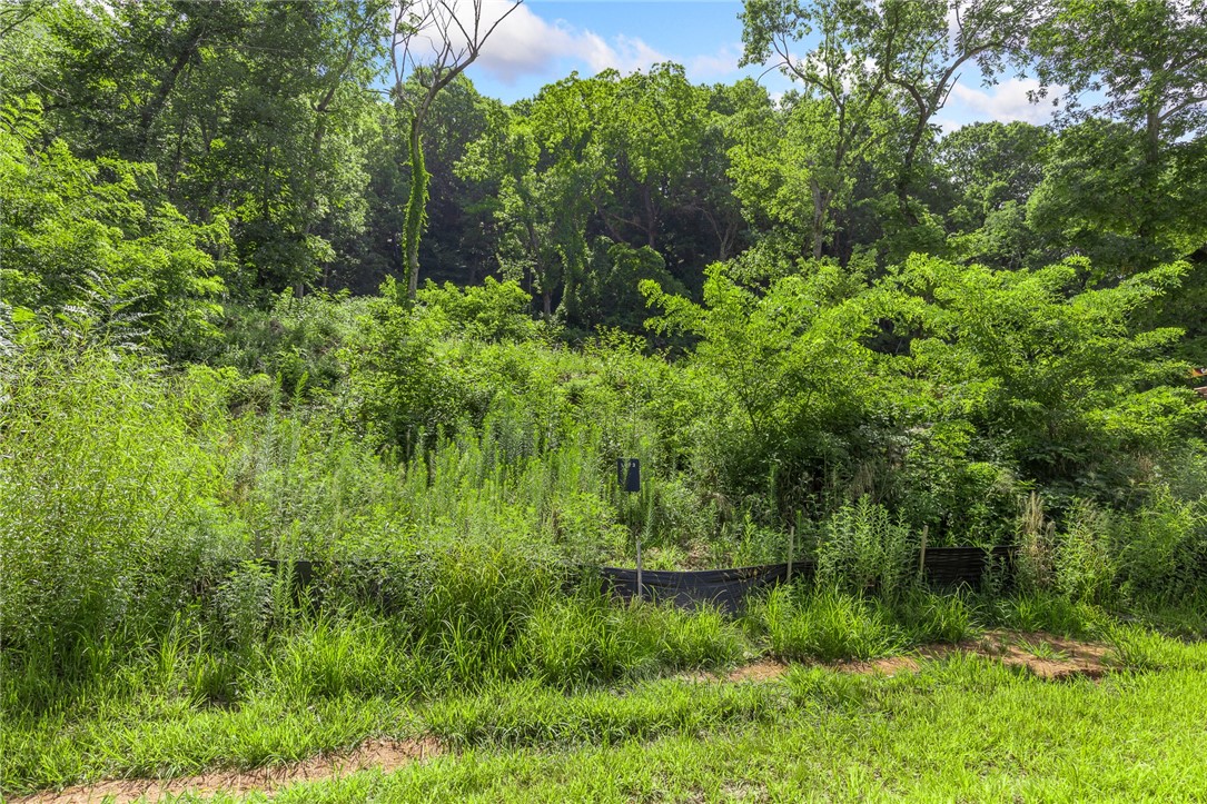 Round Mountain Estates - Land