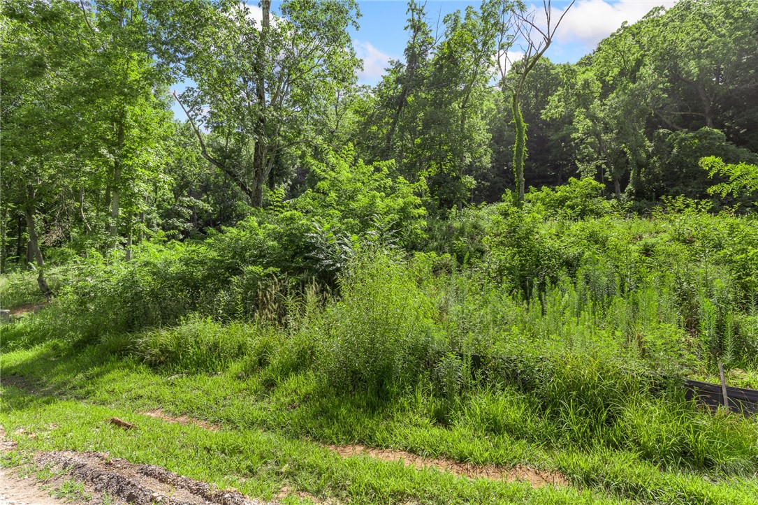 Round Mountain Estates - Land