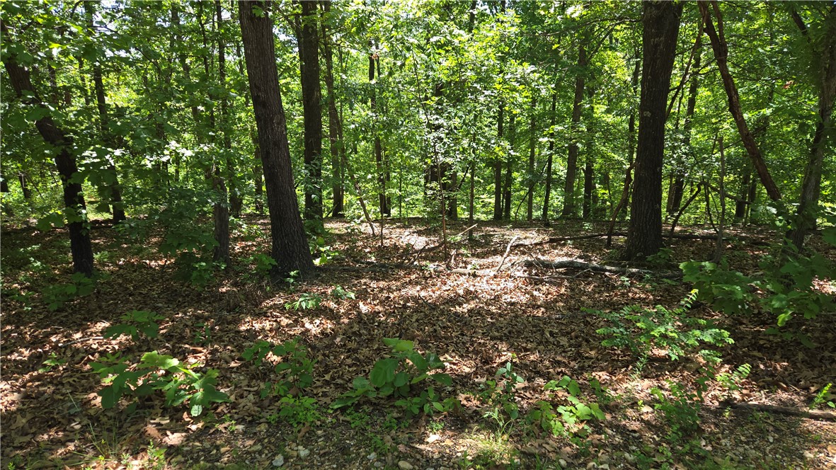 Discover the perfect spot to build your dream home on Lot 20 Tummell Dr in Bella Vista! This .33-acre lot offers convenient access to everything the area is known for, including nearby Loch Lomond, scenic walking and biking trails, golf courses, tennis courts, parks, restaurants, and endless outdoor recreation. Enjoy the peaceful setting while still being close to the amenities that make Bella Vista one of Northwest Arkansas’ most desirable communities. Looking for additional space or investment potential? Two adjacent lots, Lots 21 & 22, are also available — see MLS #1346783. Combined, all three lots total approximately .99 acres, creating an excellent opportunity for a larger homesite or future development. Don’t miss this opportunity to enjoy the Bella Vista lifestyle!