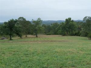 Great building spot with nice views, pond, pasture, fenced with paved highway frontage close to Branson & Omaha. Already a pad for a shop or garage in place. Land has been perked. Land lays well.