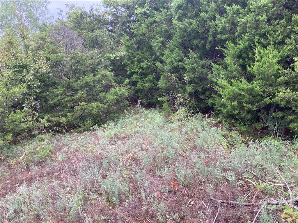 Calling all investors to this multifamily land for sale in Holiday Island, Arkansas, with rare R-3 zoning and strong income-producing potential. This 0.24-acre lot allows for a duplex, triplex, or development of up to four units, giving investors the opportunity to create multiple rental incomes from one property. Consider long-term rentals, Airbnb units, a live-in investment, or a combination of rental strategies. Utilities are available, and the seller is now offering a $1,000 buyer credit toward site preparation. Located just minutes from Eureka Springs and Table Rock Lake, this affordable lot is well positioned for vacation-rental demand and long-term portfolio growth. Whether you are an investor, builder, or Airbnb buyer, this property offers flexibility and potential that are difficult to find at this price point.