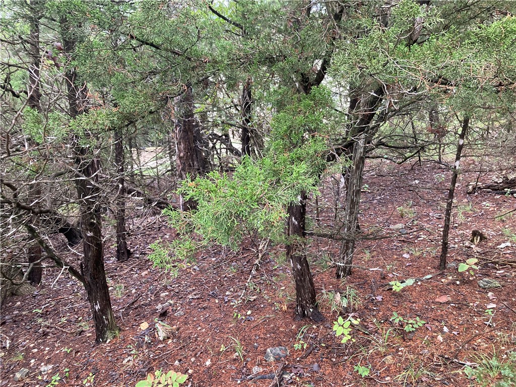 Turn dirt into doors and doors into income on this 0.24-acre R-3 zoned lot on Hillside Drive in Holiday Island, Arkansas. Multifamily-ready properties like this are rare in an area with growing demand for both short-term and long-term rentals.
Design a duplex, triplex, or 4-unit build and create multiple income streams from one property. Ideal for house hacking, long-term tenants, Airbnb, or a hybrid approach that adapts with the market.
Located near Eureka Springs and Table Rock Lake, Holiday Island attracts tourists, retirees, and full-time residents year-round helping keep occupancy strong and consistent.
With close access to golf, marina, and community amenities, this location continues to draw renters and buyers alike. Positioned in a growing market with limited multifamily inventory, this property offers strong upside potential, future appreciation, and a solid foundation for long-term portfolio growth.