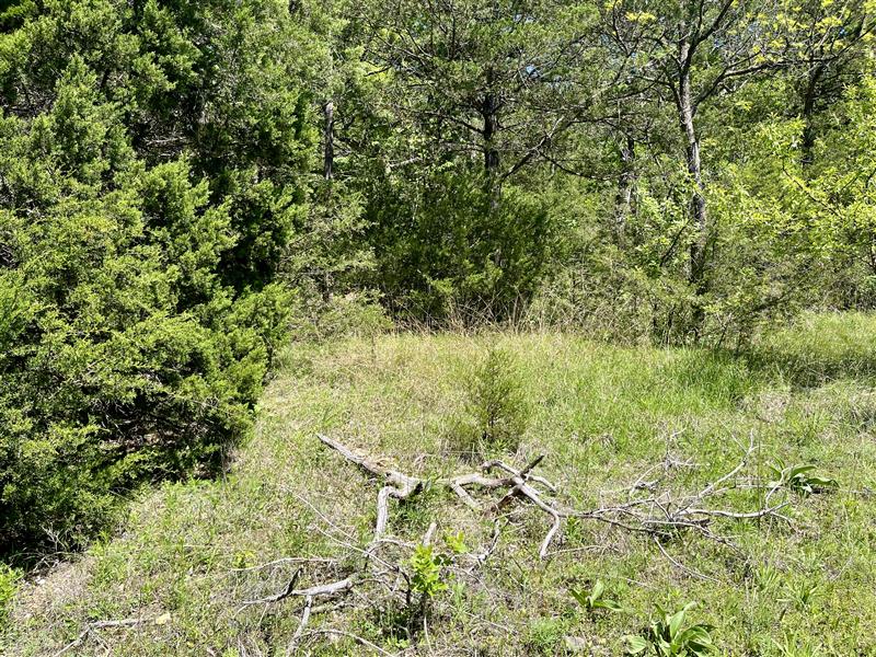 Turn dirt into doors and doors into income on this 0.24-acre R-3 zoned lot on Hillside Drive in Holiday Island, Arkansas. Multifamily-ready properties like this are rare in an area with growing demand for both short-term and long-term rentals.
Design a duplex, triplex, or 4-unit build and create multiple income streams from one property. Ideal for house hacking, long-term tenants, Airbnb, or a hybrid approach that adapts with the market.
Located near Eureka Springs and Table Rock Lake, Holiday Island attracts tourists, retirees, and full-time residents year-round helping keep occupancy strong and consistent.
With close access to golf, marina, and community amenities, this location continues to draw renters and buyers alike. Positioned in a growing market with limited multifamily inventory, this property offers strong upside potential, future appreciation, and a solid foundation for long-term portfolio growth.