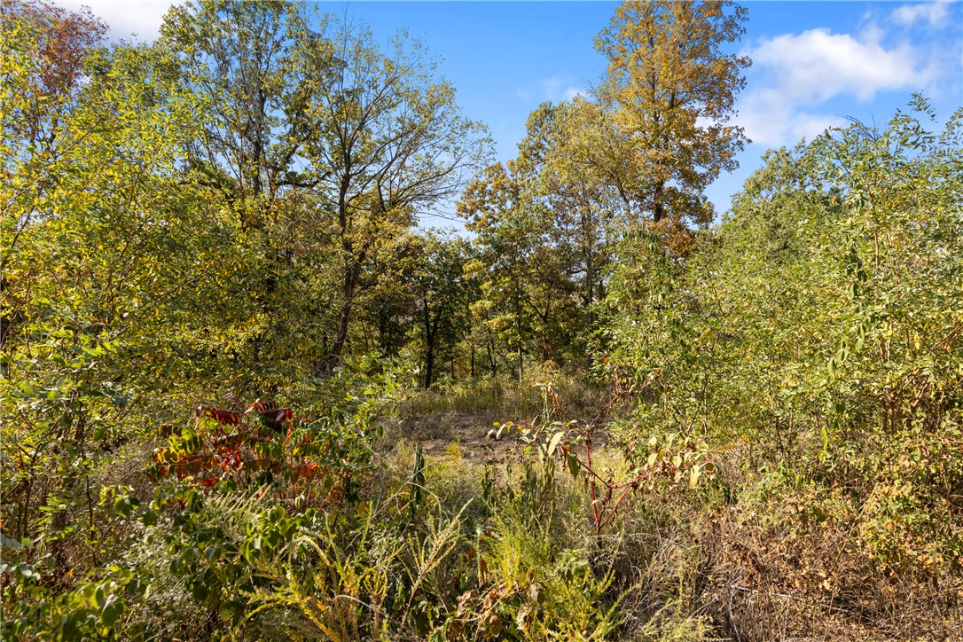 Round Mountain Estates - Land