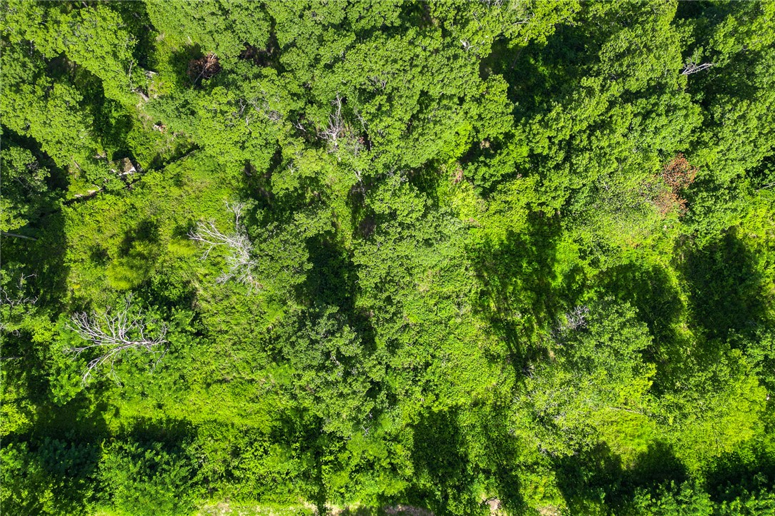 Round Mountain Estates - Land
