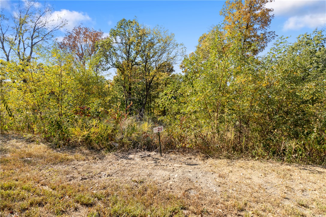 Round Mountain Estates - Land