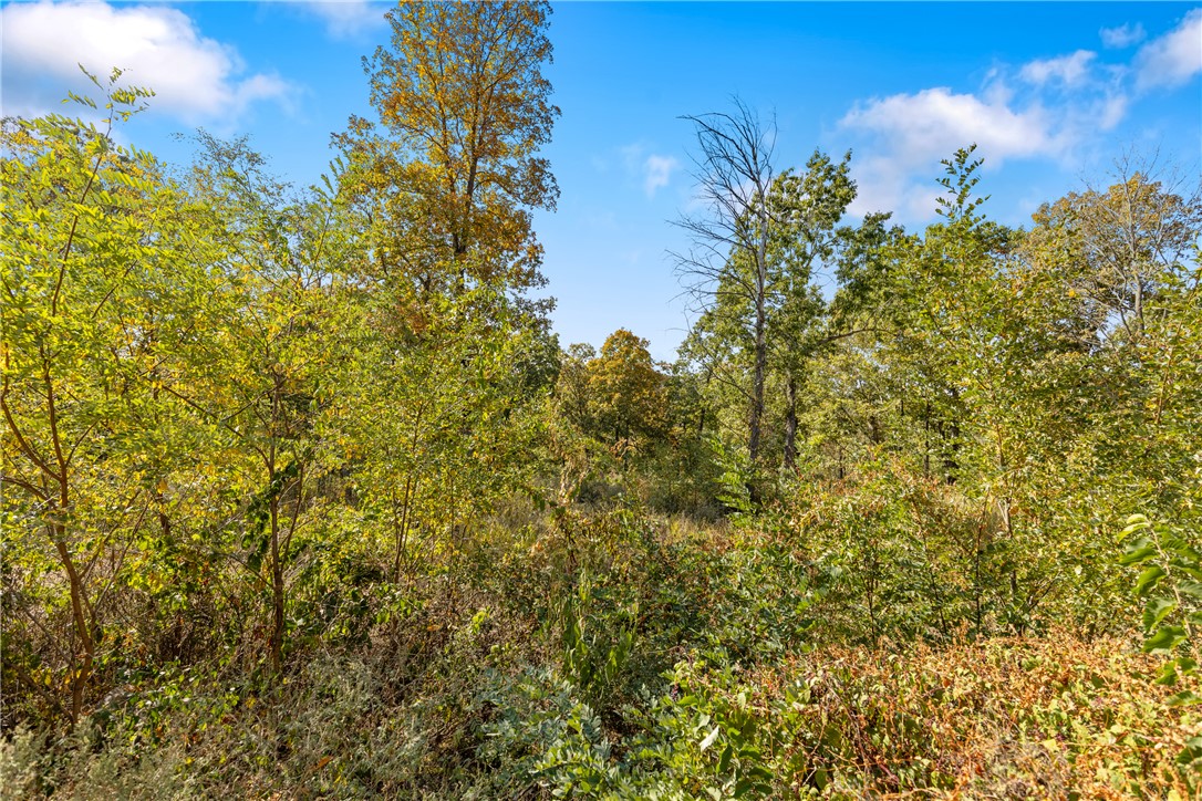 Round Mountain Estates - Land