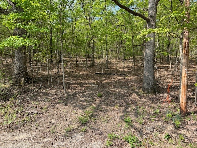 Don't miss your chance to see this wonderful upsloping lot in Unit 1.  You can build or place a mobile home on this lot.  Some clearing has already been done with a new culvert and driveway started.  Secluded from neighbors giving you the peace you are looking for.  Wooded with some really nice trees.  Clear out more of the underbrush for more of a valley view.  This gentle upsloping lot will give you many opportunities to build your home in several location.  It is over 1/2 an acre with lots of room to spread out with the family.  Less than 10 minutes to the marina to boat or fish, close to the golf courses, recreation center and swimming pools.  Lots of amenities to check out.  Close to restaurants, banks, grocery shopping and hardware store.  Post office just up from the hardware store.  Only 15 minutes to Eureka Springs or 45 minutes to Branson.  Be in the center of all of the fun that Holiday Island has to offer.  Call today for your showing.