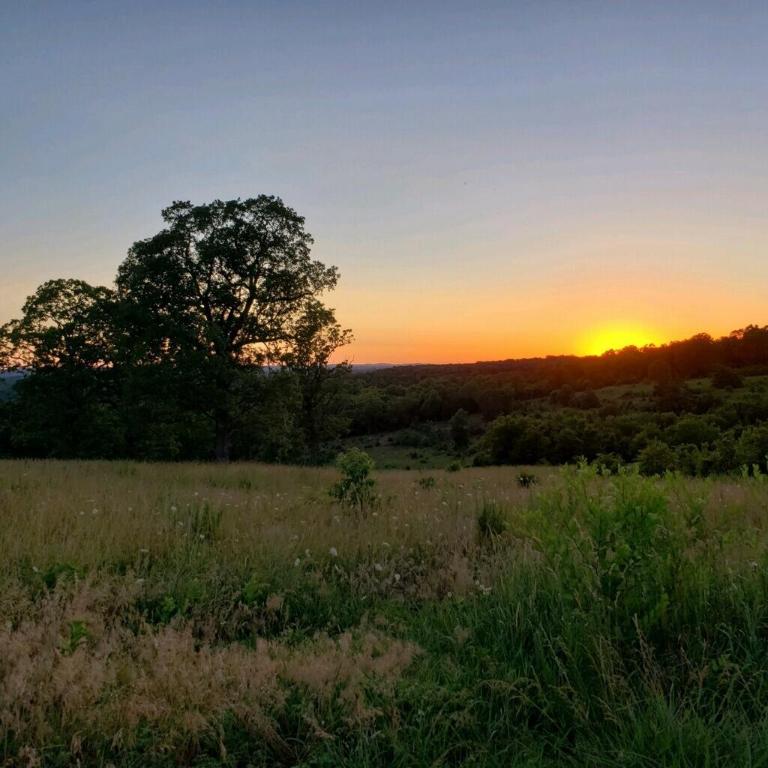 Windy Ridge Estates - Land