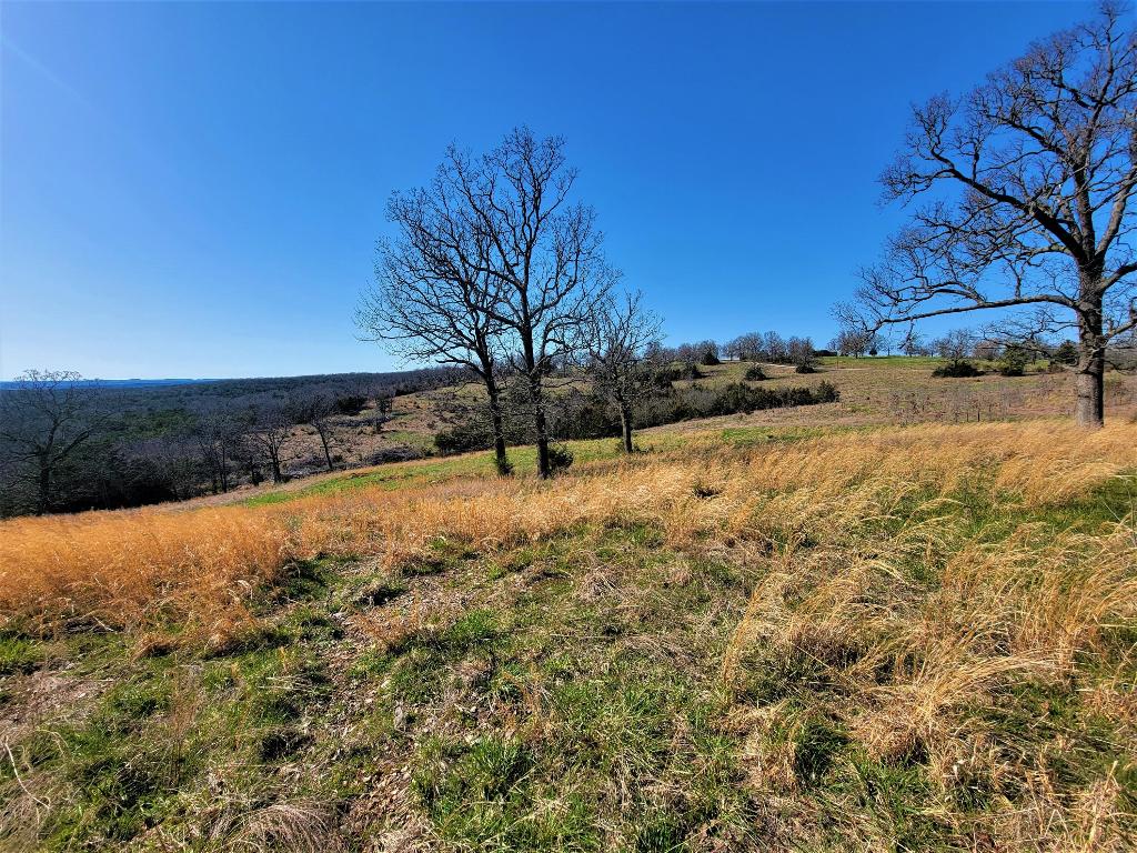Windy Ridge Estates - Land