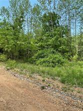 Your chance to own a great lot in Rogers.