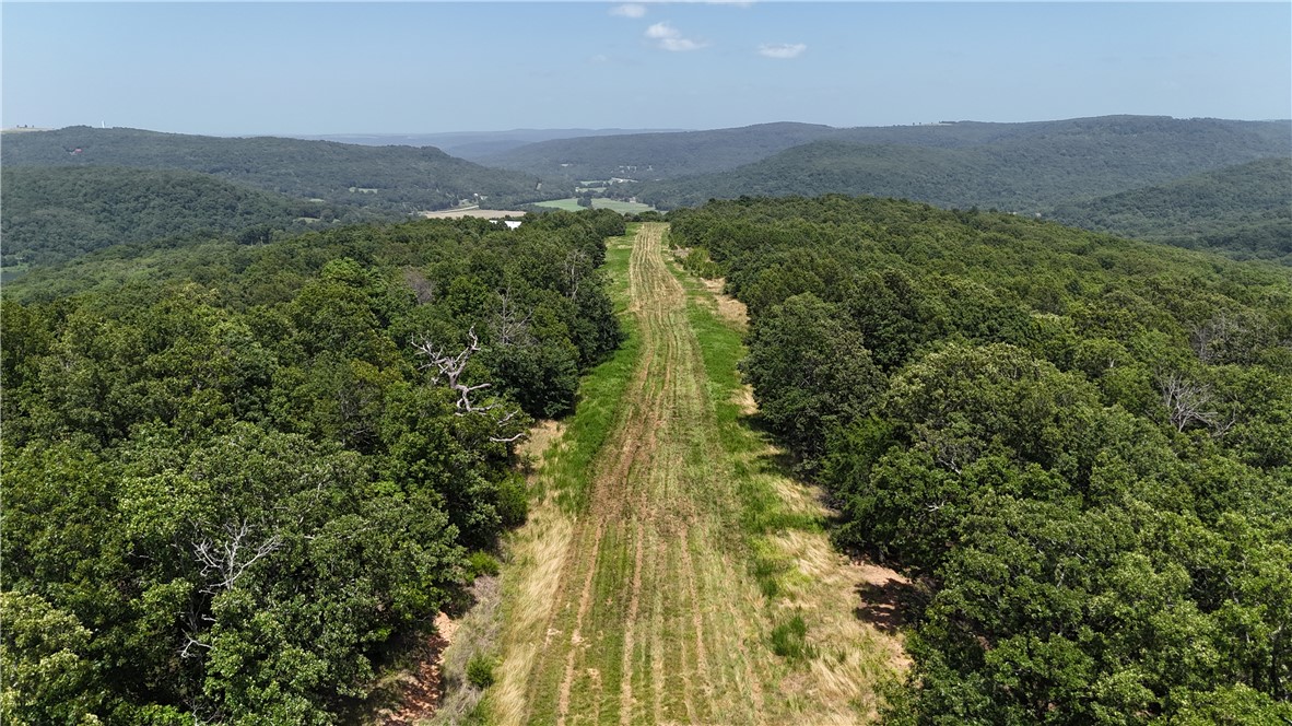 Spread your wings at Ozark Skies! This unique 119 acre m/l property sits in a peaceful country setting with long scenic views and its own private air strip. The land is primarily wooded, rolling, useable ground with numerous building sites and plenty of room to roam. The grass air strip is 2000 ft x 100 ft with 6/24 runways and a solid base terrain. Whether an aviation enthusiast, hunter, or simply a lover of the outdoors, this property has features sure to please! Enjoy no restrictions, county road frontage, and short distance to pavement. Power, fiber optic on site, well is needed. Great opportunity for a weekend getaway, full-time living, or investment. Call to see this special piece of the Ozarks!