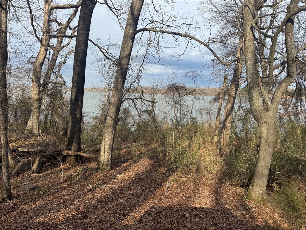 Beautiful .41-acre vacant lot located in the desirable Pinecrest addition Subdivision along the Arkansas River in Morrilton. This property offers a great opportunity to build your dream home in a peaceful riverfront community. Enjoy scenic surroundings, privacy, and convenient access to town while living near the water.