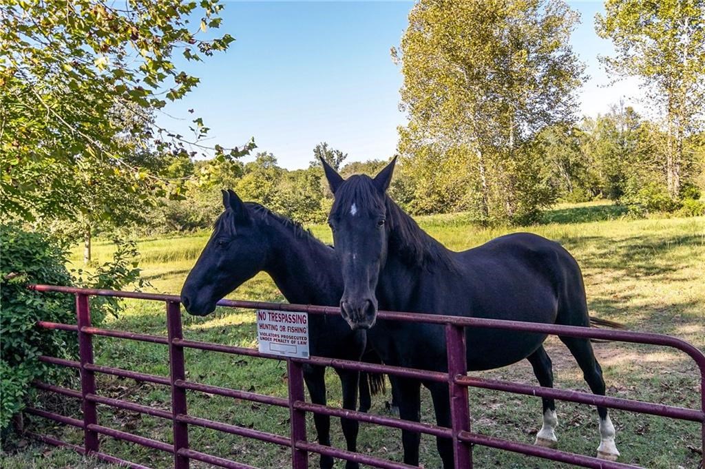 Need a gentleman's farm???  24.68 acres with Bella Vista address, but not under POA declaration or in city limits. Currently being used for horses. Several building sites on property.  Pasture with adjacent paved streets. Potential to develop amenities or recreational activities to complement the mountain bike trails.  Property sold "as is."  Seller holds a Real Estate license in Arkansas.