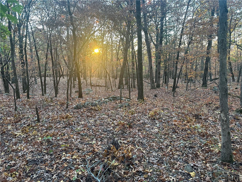 Beautiful, secluded, acreage close to Fayetteville! Wooded with abundant wildlife, rock formations and several level homesites. Topography is a mixture of level, rolling with some sloping. Property cannot be seen from the road. Deeded Access easement off 265. Must be accompanied by agent. Property will need a well drilled for potable water.

MUST BE ACCOMPANIED BY AN AGENT!