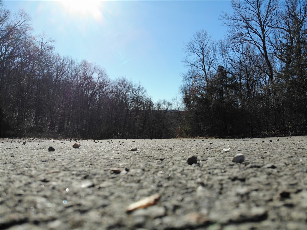 Located a mere 20 minutes from the University of Arkansas this property boasts eight lots averaging 3 to 4 acres each. Owner is willing to sell as a whole. The land features views of the Boston Mountains. The land offers winding slopes with large rock facings, and the area boasts an abundance of wildlife. Close to downtown Fayetteville, making it easy to commute to popular dining, shopping, and entertainment areas. The lots have water and electric at the street. Completely paved to the lots with a Cul de sac. Together all 8 lots total out to be 28.25 acres. Please contact agent Savanna Spear with any questions.