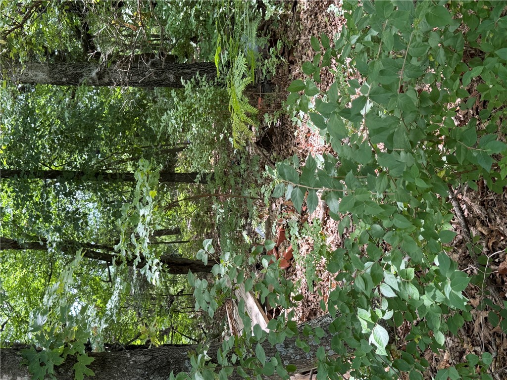 Farmington Outlots 2008 Annex - Land