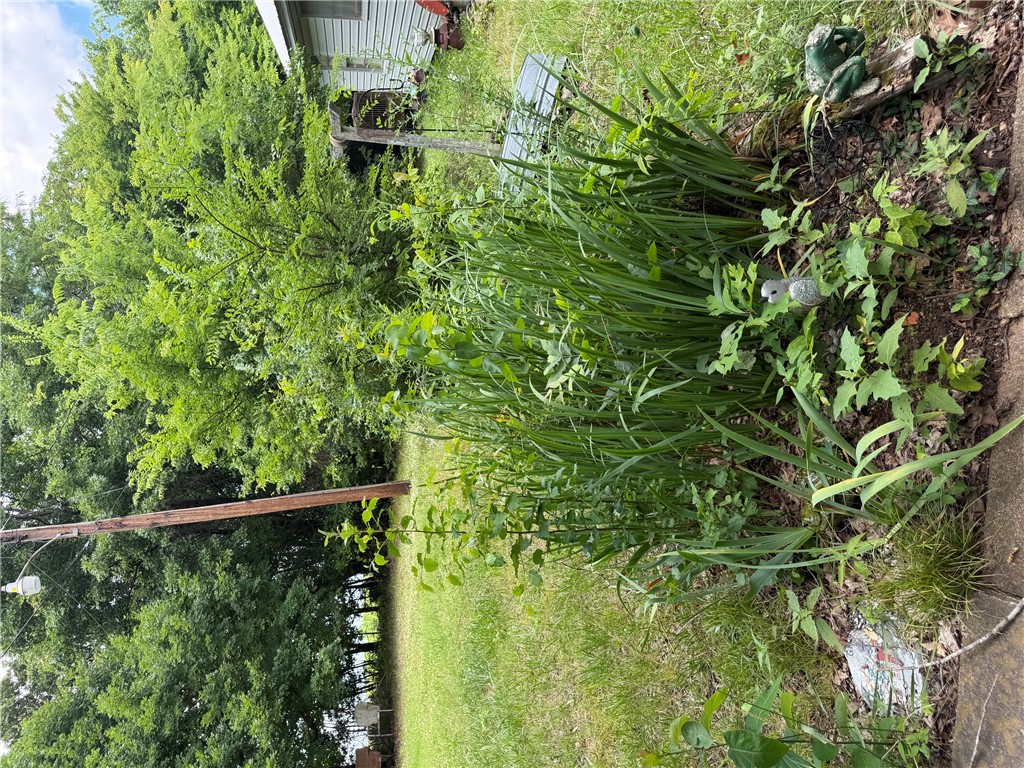 Farmington Outlots 2008 Annex - Land