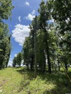 This wooded parcel has 11 acres more or less with a nice stand of hardwood timber in various stages of growth.  This Spring, the creek that flows through the property has been flowing across its solid rock bottom with a few short water fall areas.  There is a small spring on the property as well.  Water and electric utilities are on the property ready for you to build your cabin getaway, year-round home in the mountains, or rebuild the existing rock cabin for your retreat.