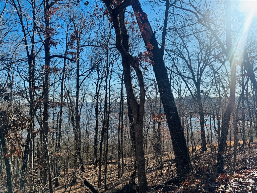 Discover a rare opportunity to own 3.61 acres of fully buildable wooded land with breathtaking lake views on both sides of the property. This exceptional parcel offers the perfect setting to build your dream home, just a 5-minute walk to the lake shoreline. Enjoy stunning sunrises and sunsets and experience the beauty of all four seasons in the Ozarks—the true epitome of The Natural State. Abundant wildlife, peaceful surroundings, and incredible views create a private yet manageable retreat. With ample space to build without the burden of excessive upkeep, this property offers the ideal balance of freedom and convenience. Properties like this are rare and highly sought after—won’t last long. Also listed as MLS 1331744, this is the 3.61 acres that are also for sale if desired.