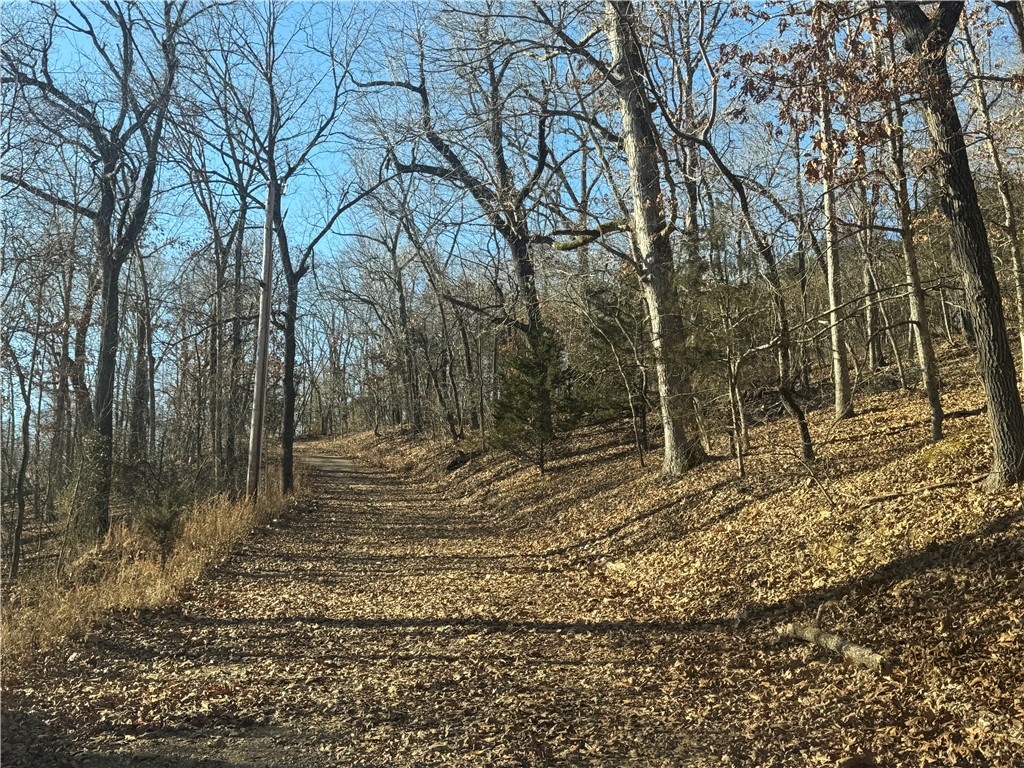 25-20-28-RURAL - Land