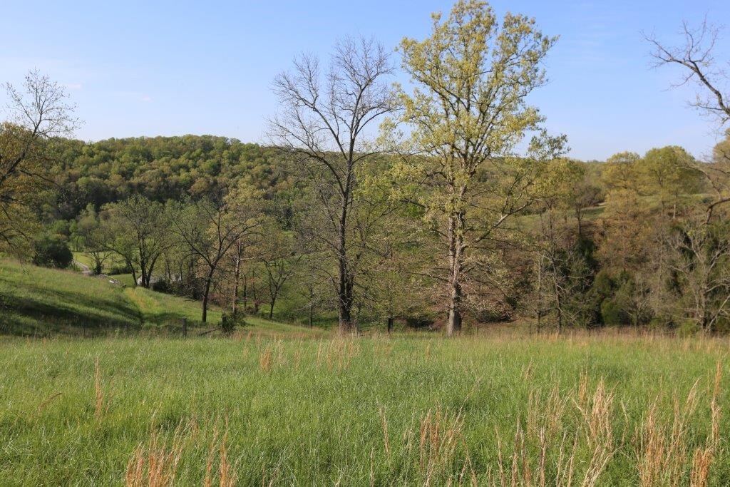 RURAL - Residential