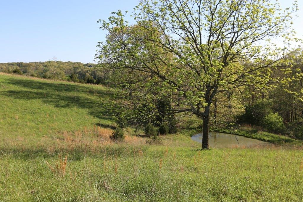 RURAL - Residential