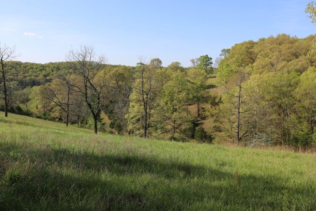 100 Acres (mol) Frontage McNelly Rd. with older house sold as is. House can not be shown (day sleepers) Beautiful land just outside Bentonville City limits, new Bentonville schools being built close by this property. See listing 1045624