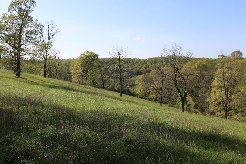 RURAL - Residential