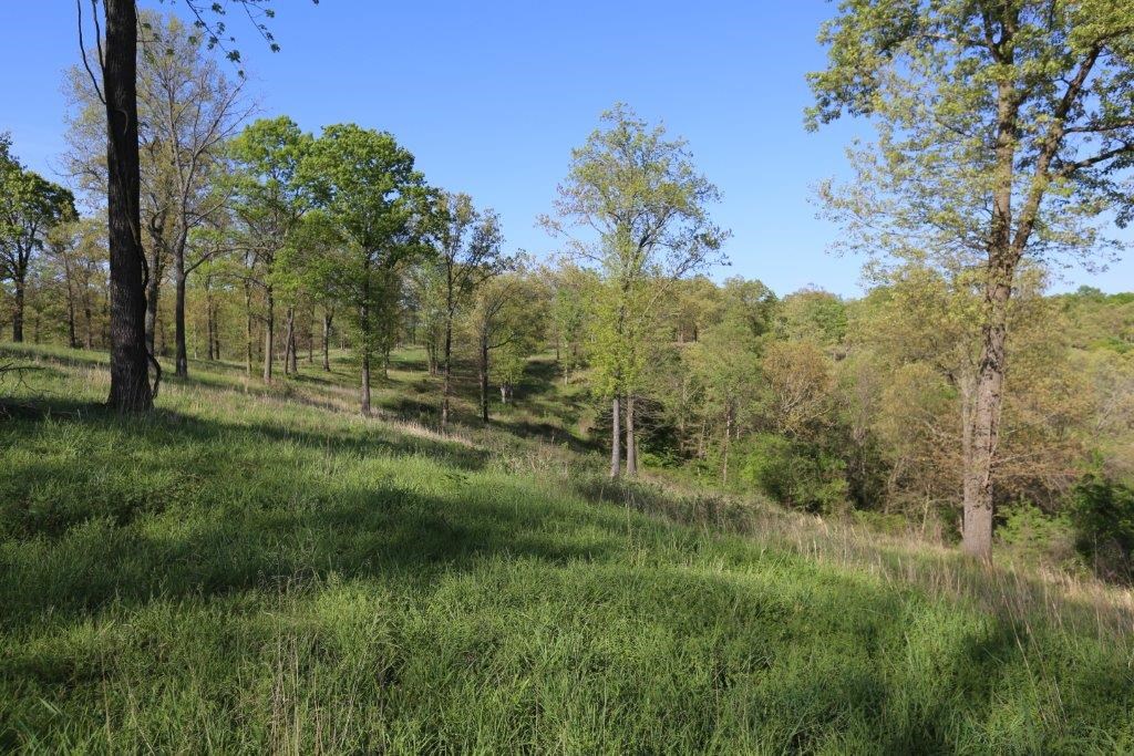RURAL - Residential
