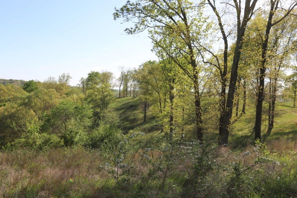 RURAL - Residential