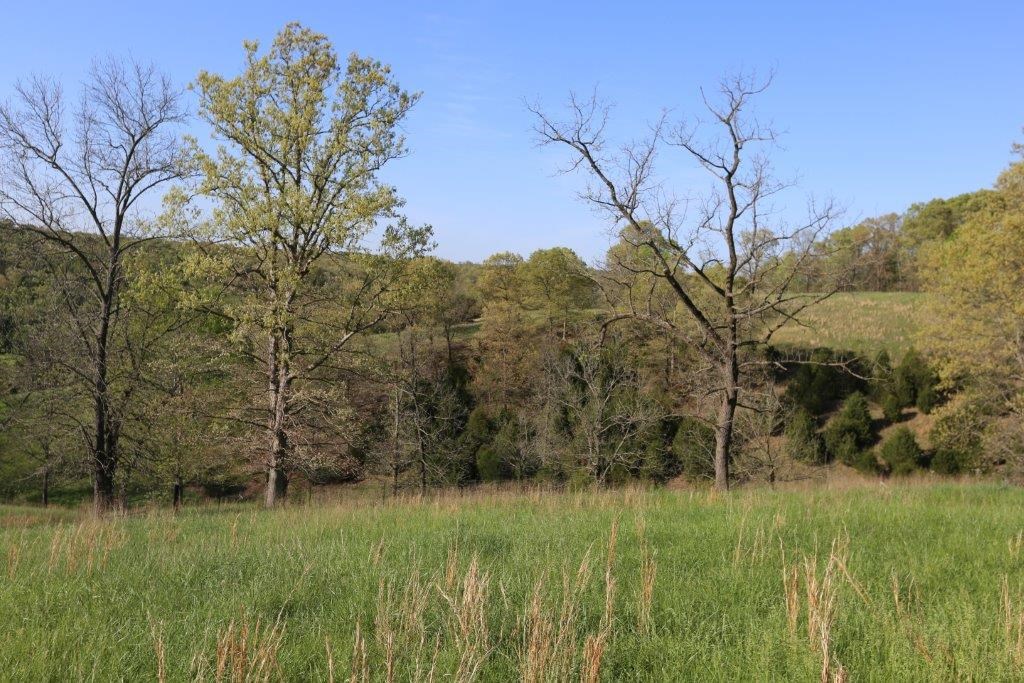 RURAL - Residential