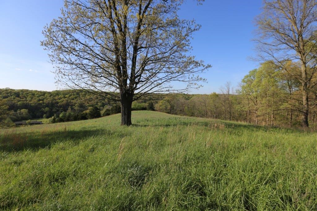 RURAL - Residential