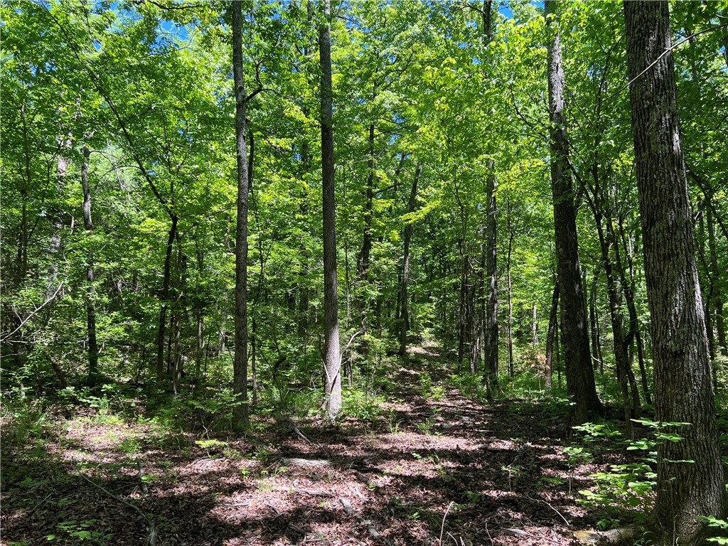 The property features a nice level building site with lots of hardwood trees, NO restrictions, and has 6.34 Acres M/L. The property is southernly facing and would make a great spot to go off grid. Call today to schedule a showing.