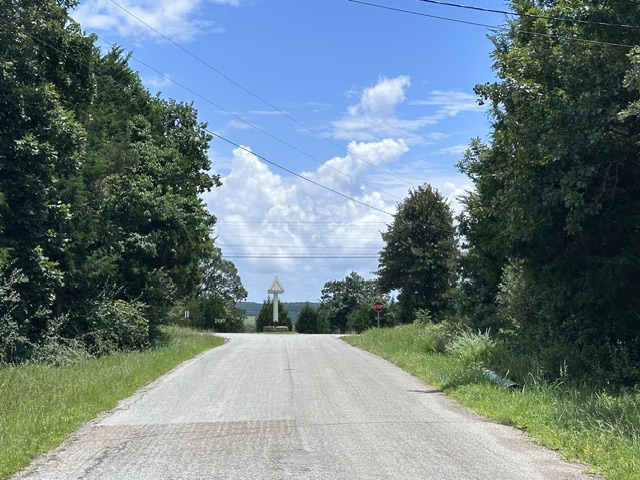 Bird Country - Land