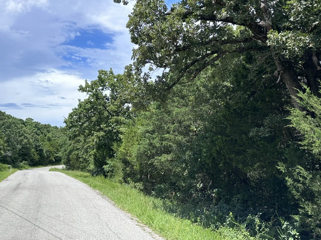 Bird Country - Land