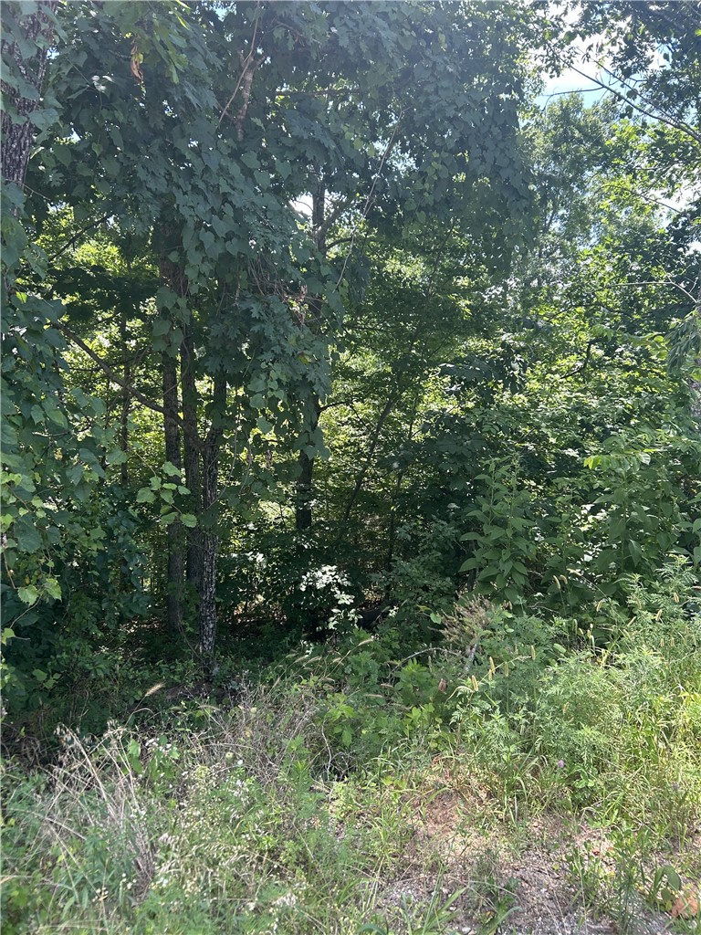 Large lot at end of cul-de-sac. 76' (m/l) road frontage. .052 Acre (m/l) Enjoy all that Bella Vista has to offer. With many golf courses, lakes for fishing, some for water sports, tennis & pickle ball courts, bike trails, walking trails, etc... Bella Vista, a beautiful place to live & play. Gravette School District.