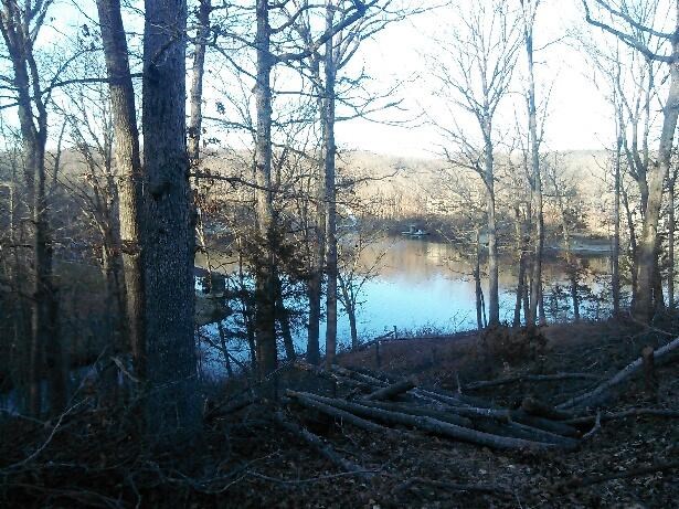 this very nice Loch Lomond lakefront .68 acre lot has been selectively cleared and is ready for you to build on among some very nice trees - great lake views - nice chunk of common land beside for extra privacy - easily workable topography