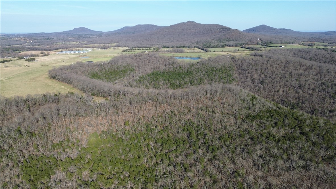 Discover the potential of this 21.79 acre tract in the Marble Falls community of Newton County, Arkansas. Surrounded by mature timber and the natural charm of the Ozarks, this property offers both privacy and opportunity.
Located approximately 2 miles from Johnny Morris’ Dogpatch redevelopment project, this area is poised for exciting growth while still maintaining its peaceful rural appeal. A small 3 year old cabin sits on the property, providing a perfect weekend retreat or a basecamp as you plan your future build. Existing roads exist throughout the property. One of the standout features is the flat mountaintop homesite an ideal location to build your dream home or getaway cabin with the potential for truly breathtaking panoramic views. A water utility easement is already in place, adding convenience and value. Outdoor enthusiasts will love being just a short drive from the Pruitt access on the Buffalo National River, offering easy access to kayaking, hiking, and some of the most scenic landscapes in Arkansas.