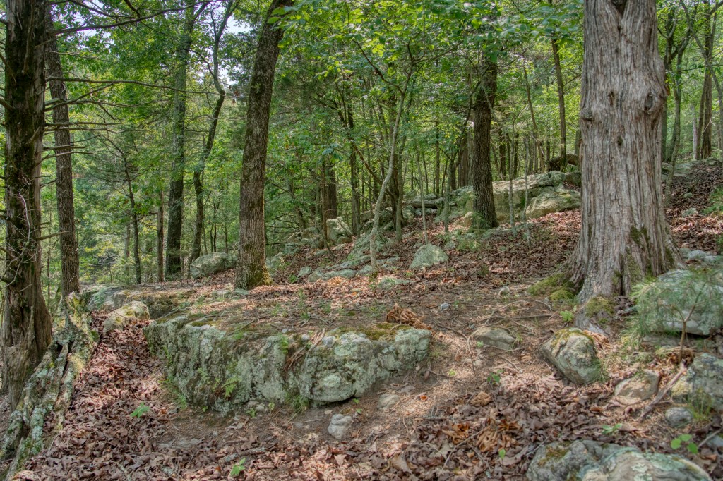Big Clifty Shores Unit ` - Residential