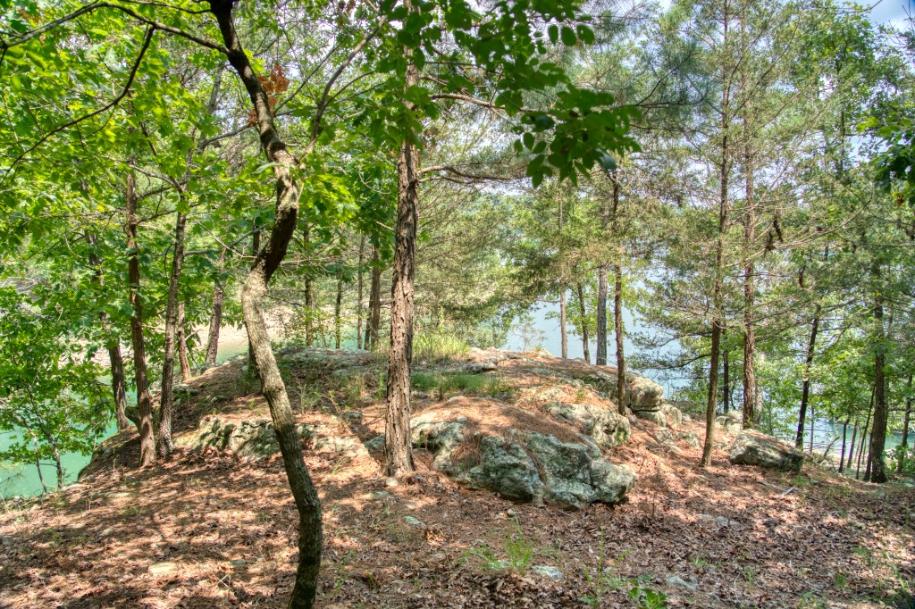 Big Clifty Shores Unit ` - Residential