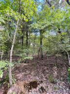 Other Subdivision - Land
