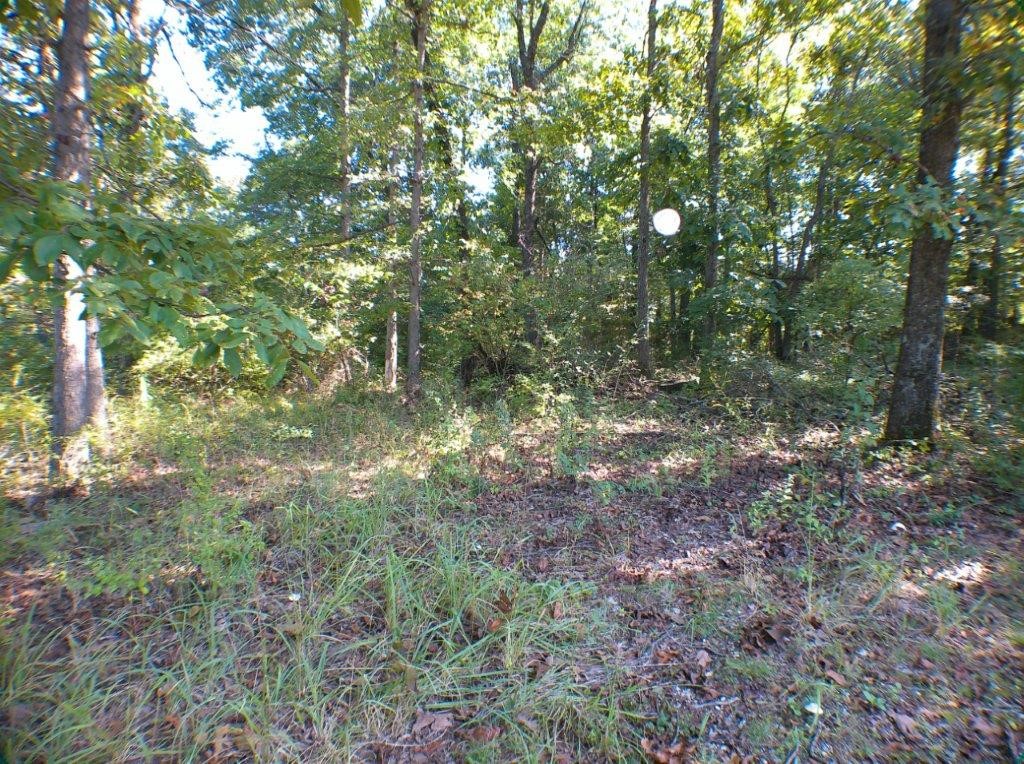 Phillips Creek Sub Rurban - Land