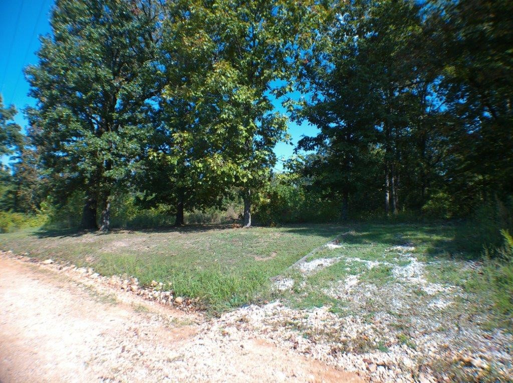 1.46 (+/-) Ac located east of town. Mostly level and ready to build your forever home! Rural setting yet just minutes back into Lowell or Rogers. This is a Fannie Mae Homepath property.