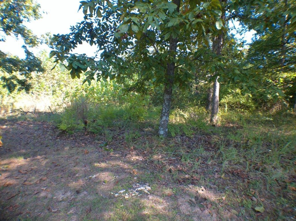 Phillips Creek Sub Rurban - Land