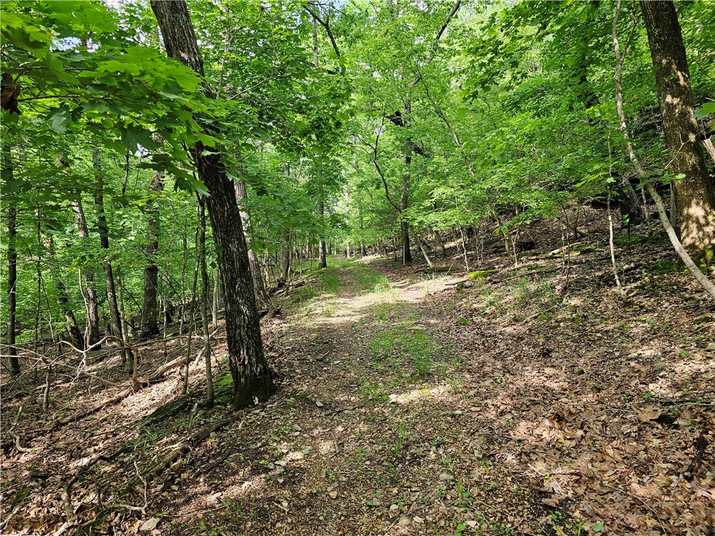 Glen Oaks - Land