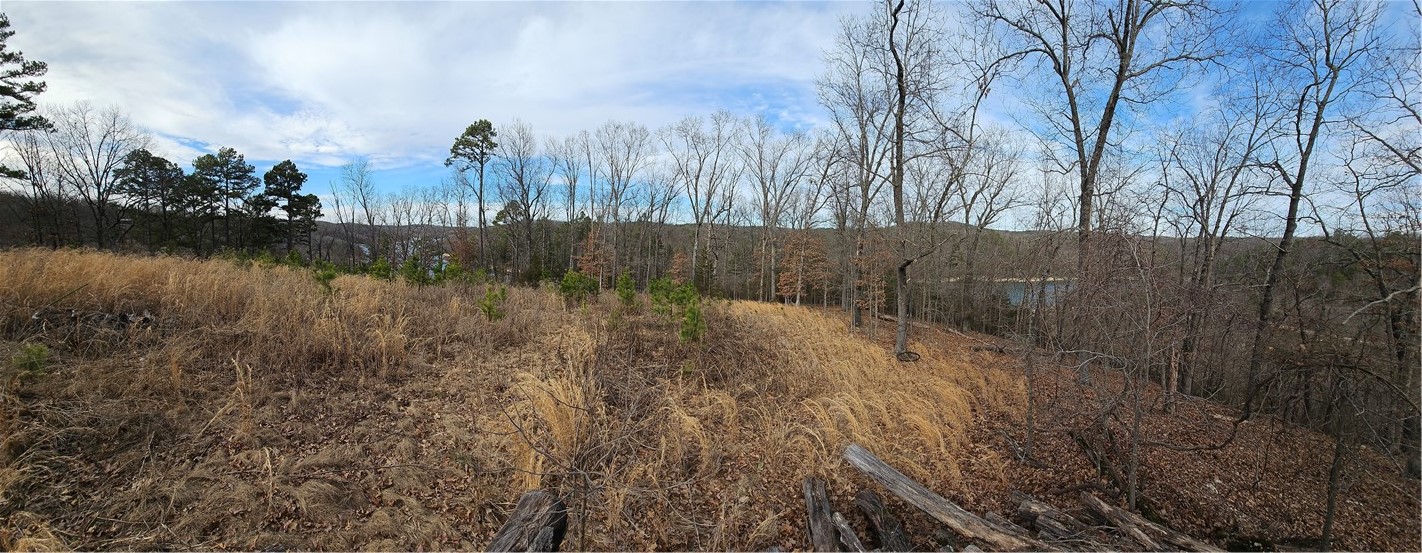 Glen Oaks - Land