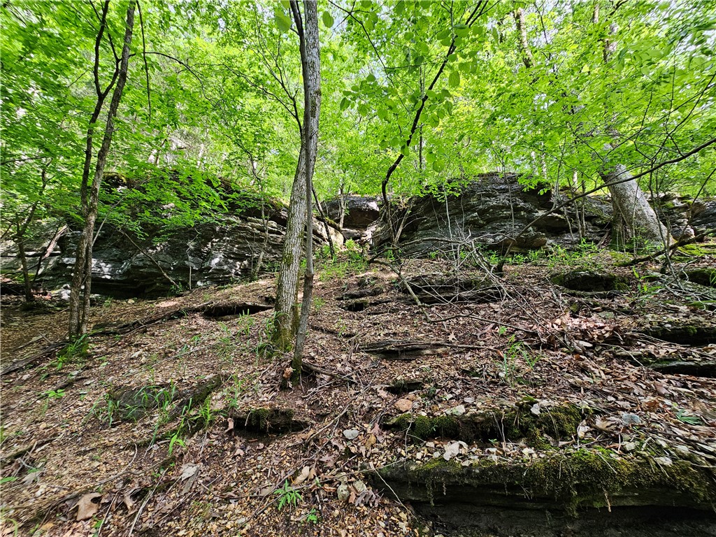 Glen Oaks - Land