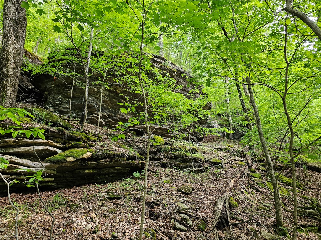Glen Oaks - Land