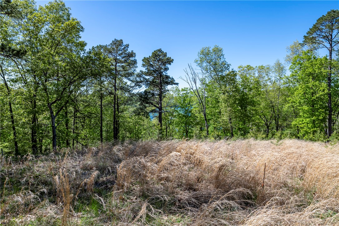 Glen Oaks - Land